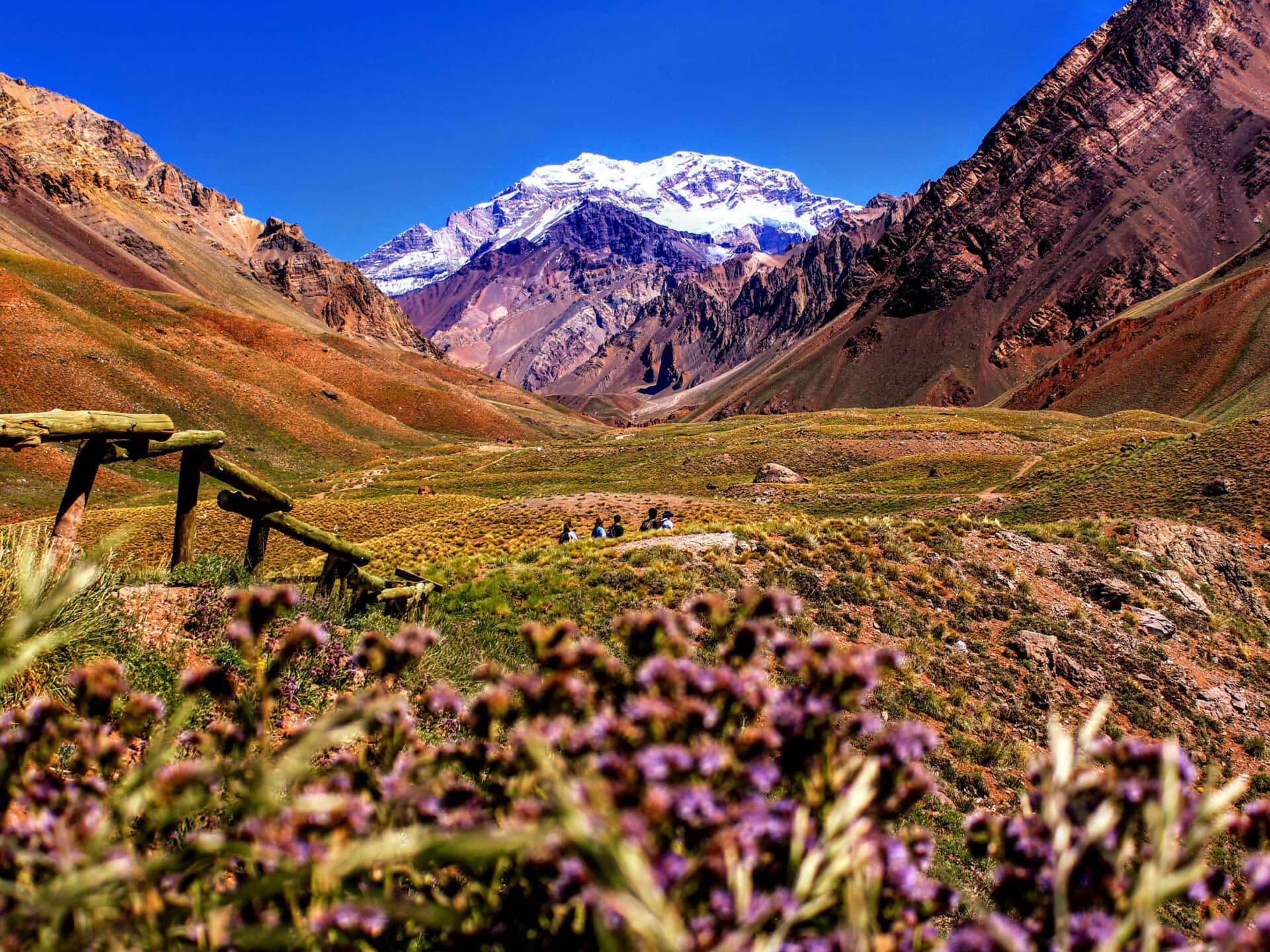 Berg mit Blumen